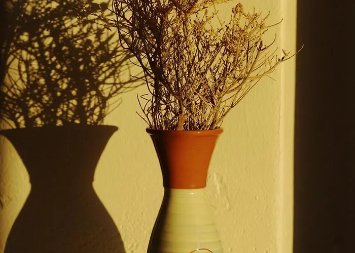 Folegandros Beachfront Apartman *